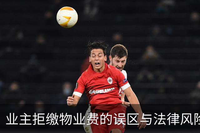 业主拒缴物业费的误区与法律风险分析