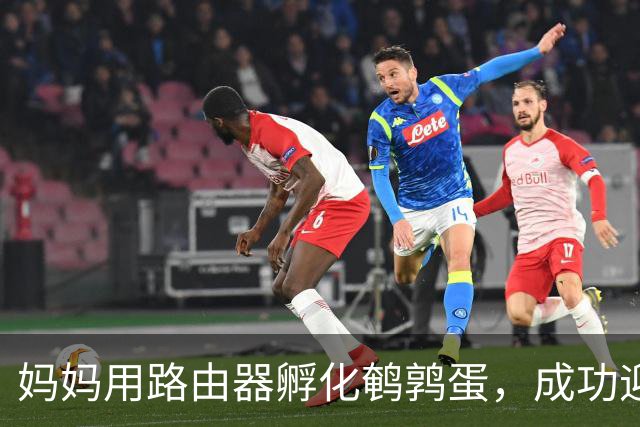 妈妈用路由器孵化鹌鹑蛋，成功迎来生命却遭寒潮无情